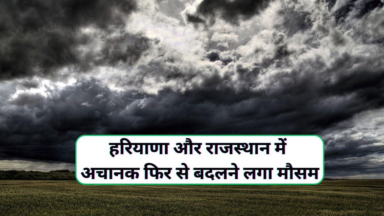 Aaj Raat Ka Mausam : हरियाणा और राजस्थान में अचानक फिर से बदलने लगा मौसम, आने वाले दिनों में हरियाणा और राजस्थान में तेज हवाओं के झोंके चलने के साथ ...