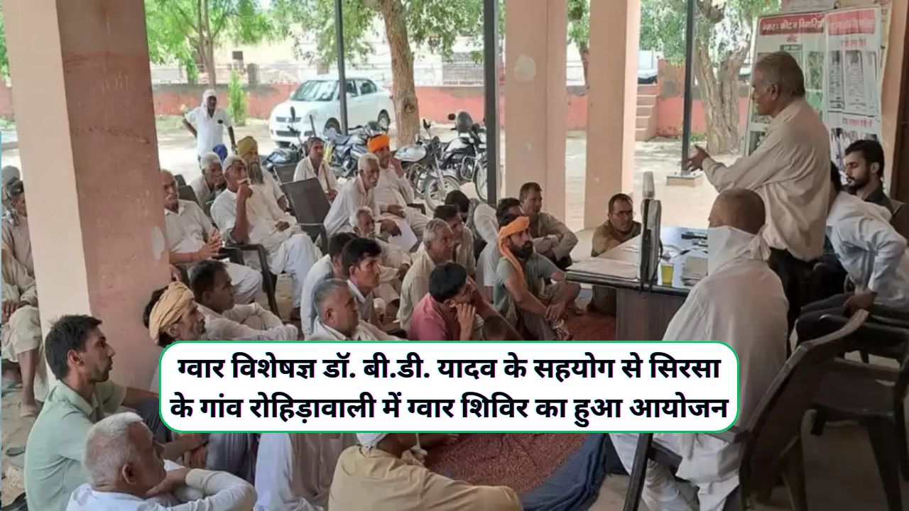 Rohiranwali News