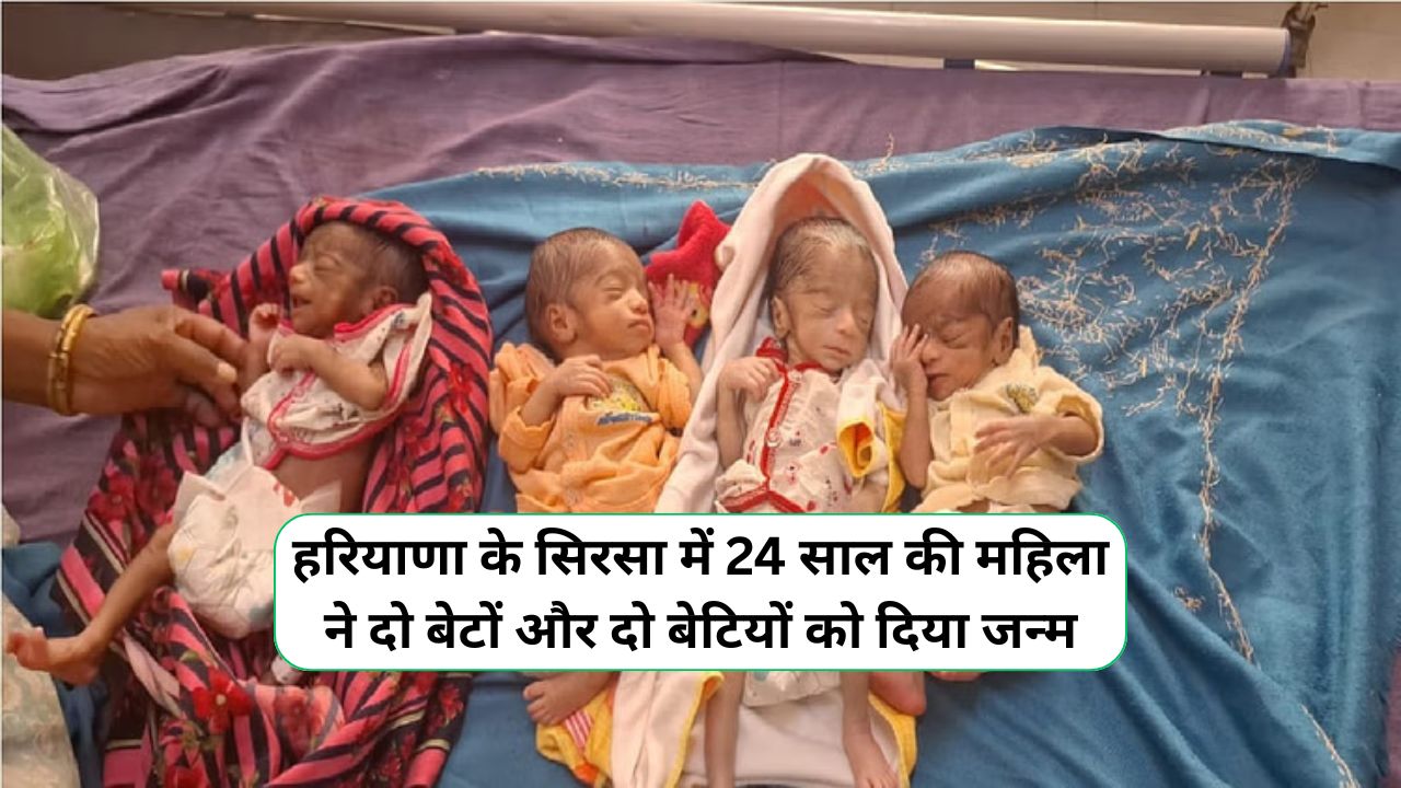 Sirsa News